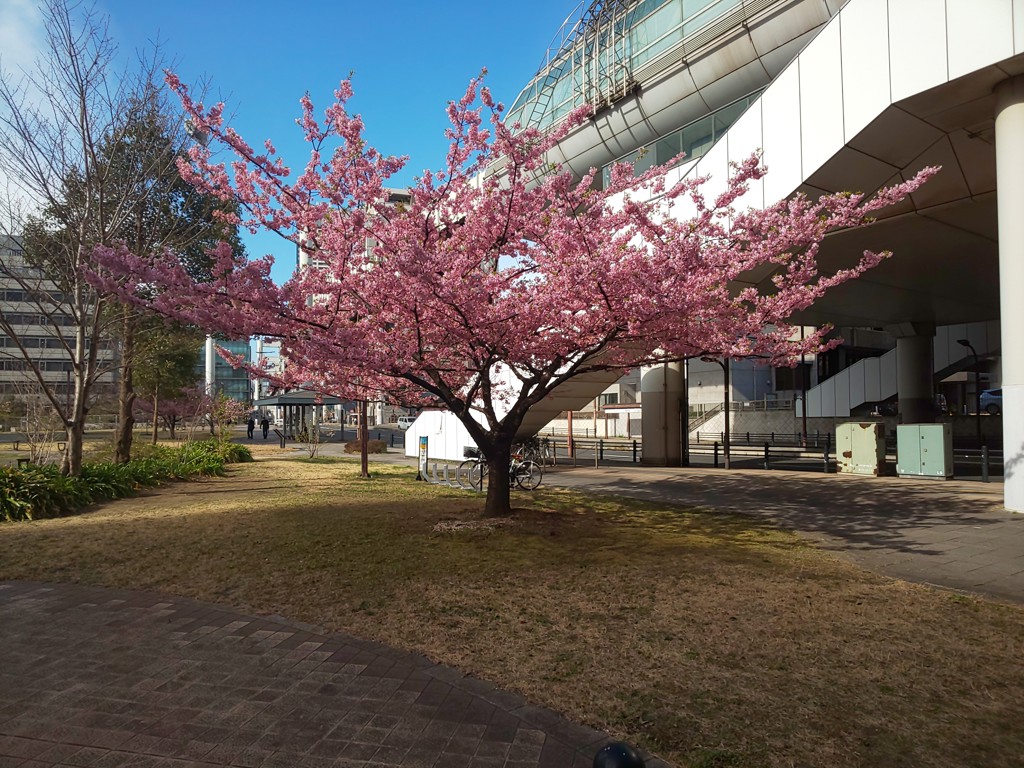 ドボクセッケイタロウ