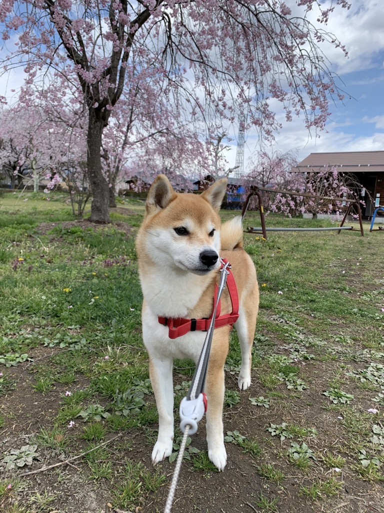 あつ