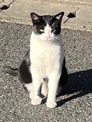 ユーザーアイコン
