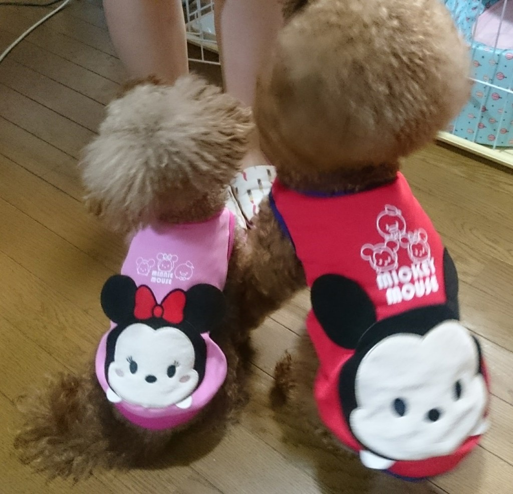 じゅんじゅん