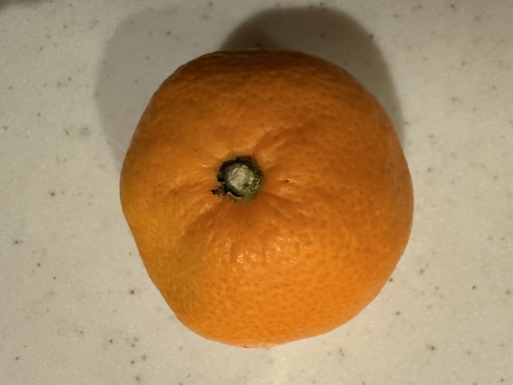 みかんおとこ