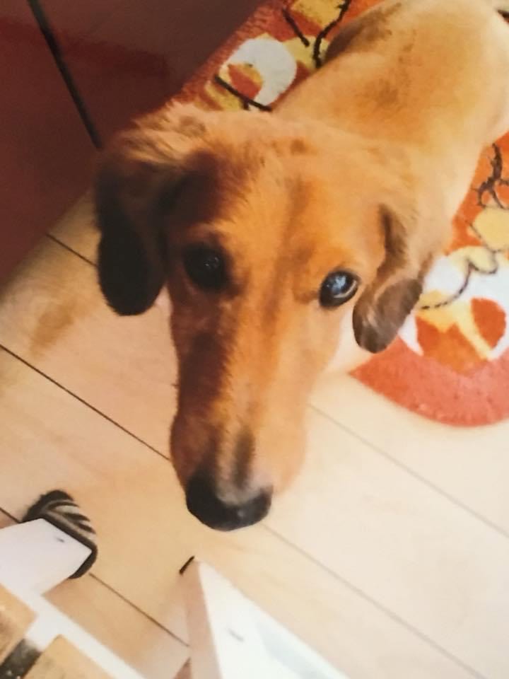 りょう