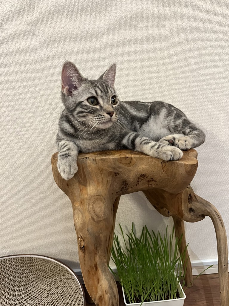 no name