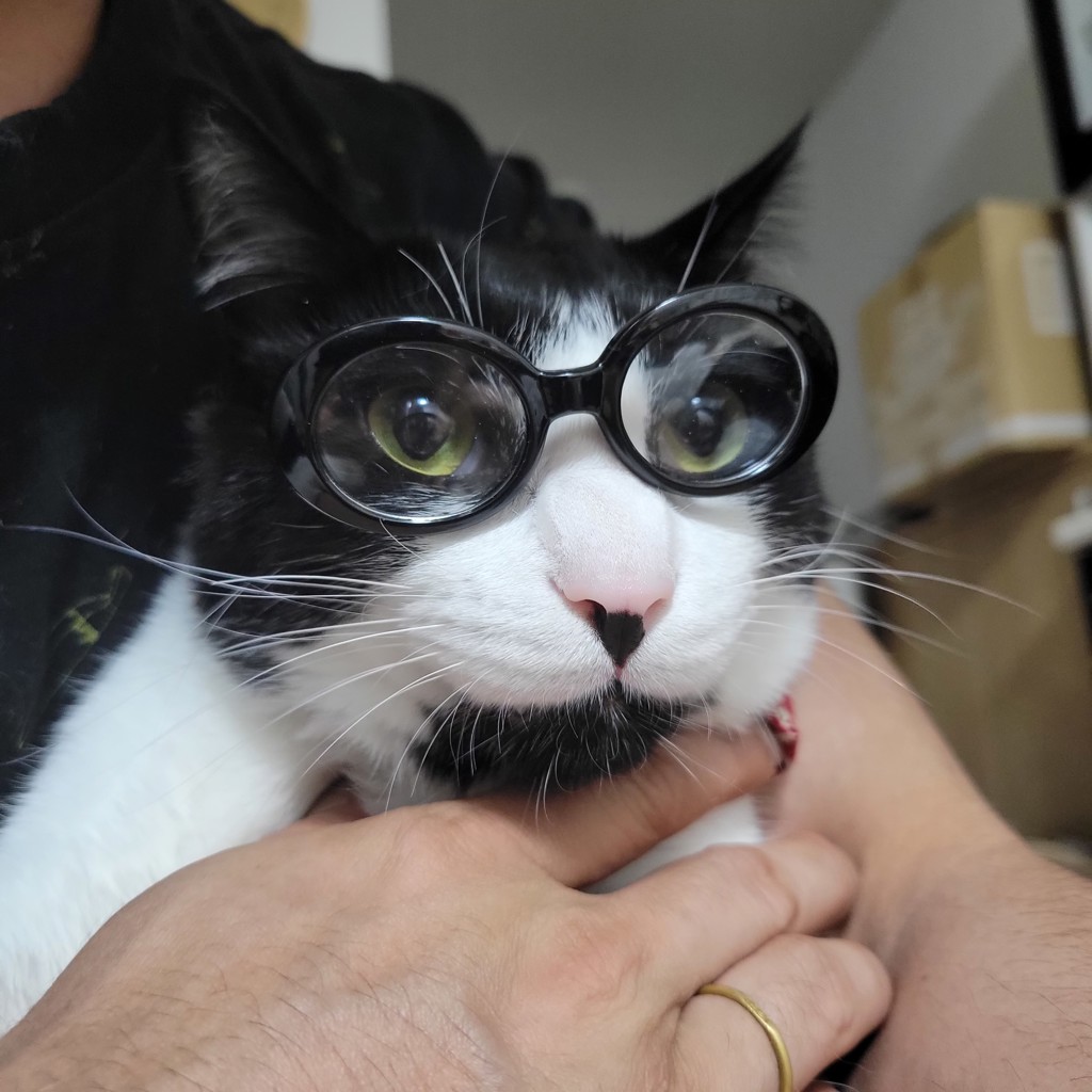 はるピコ