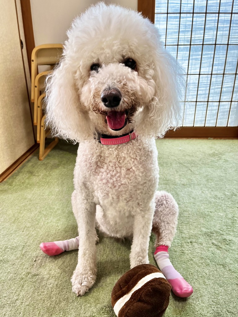 ユソ