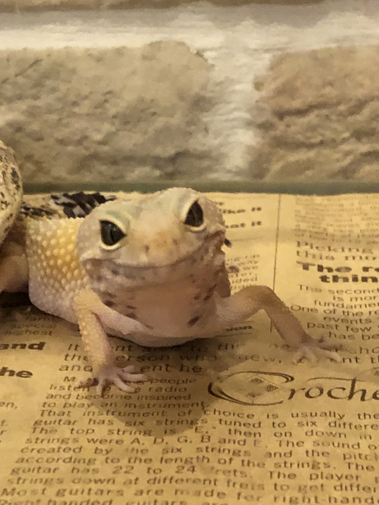 かっちゃん