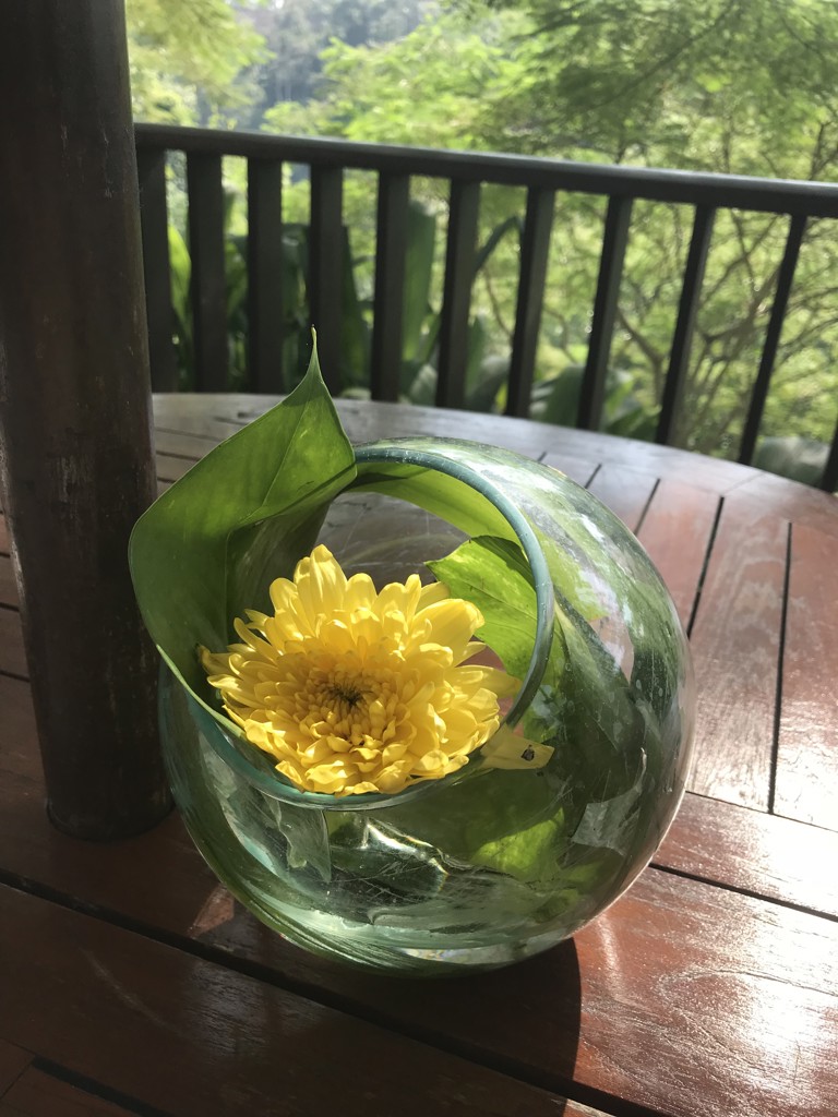 ぶどう