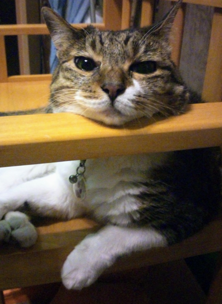 らら