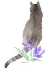 Miyashiro