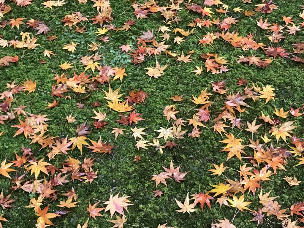そらはな