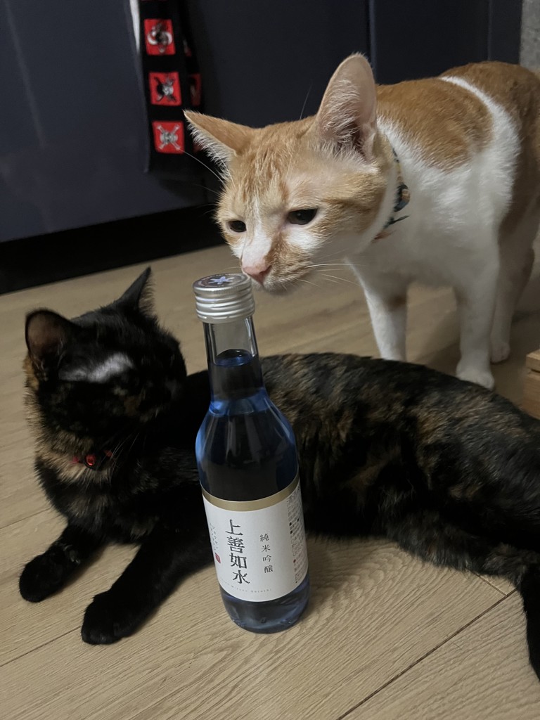 エルショ