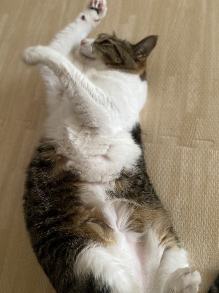 no name