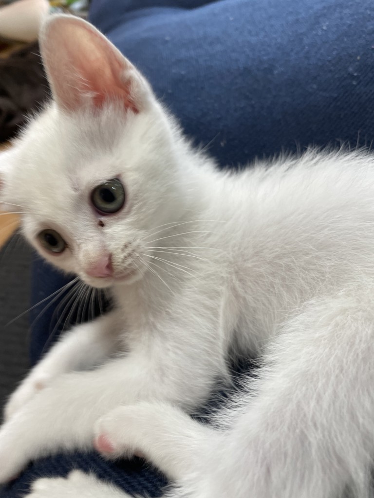 no name