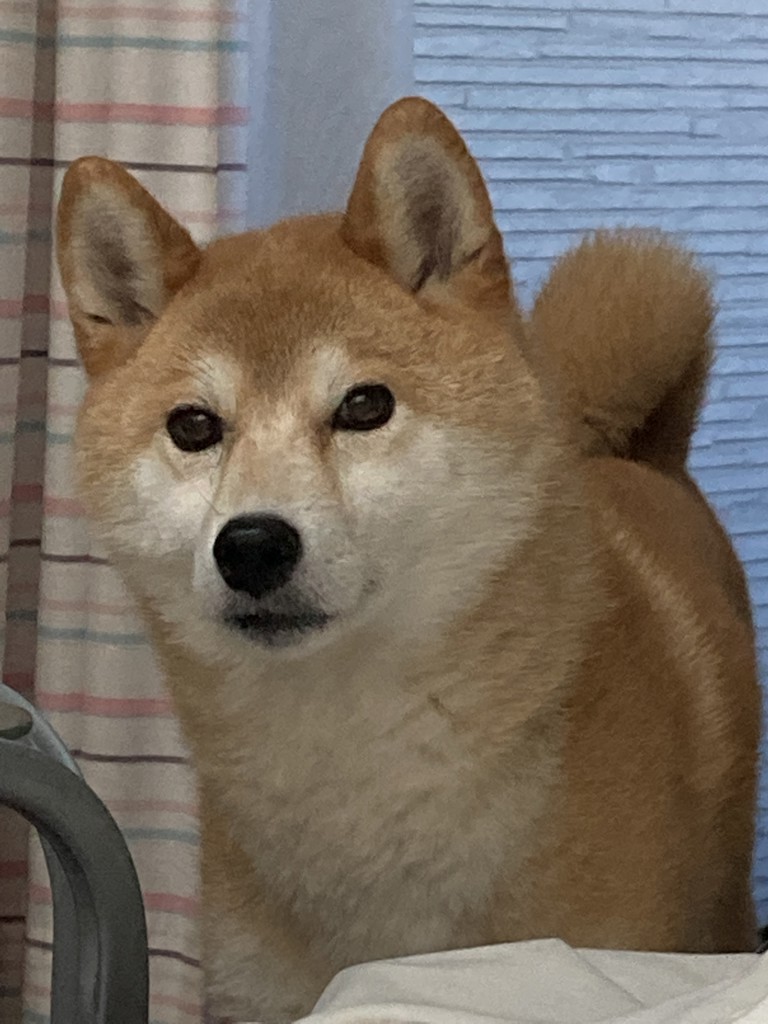 たぁぼ