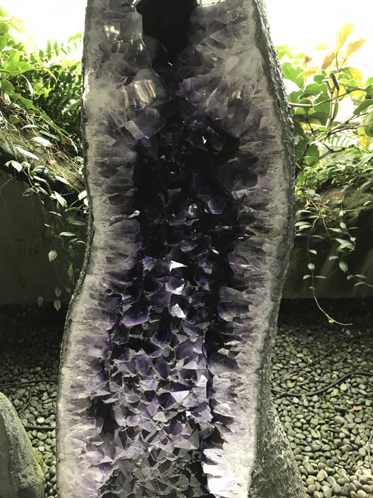 チャームイン