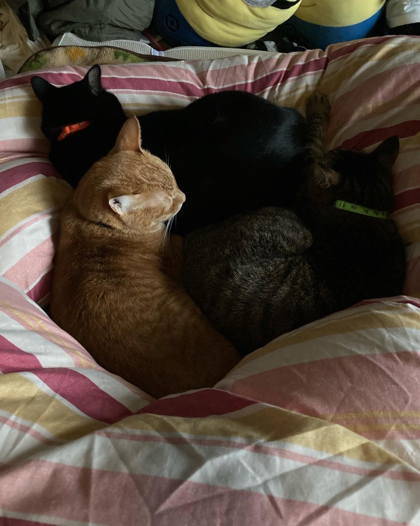 ひらり