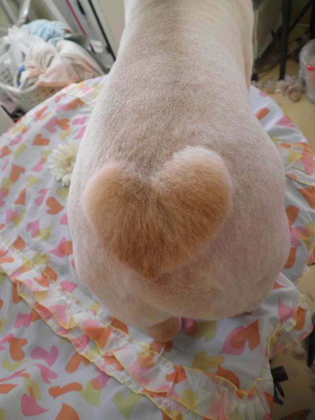 ユーザーアイコン