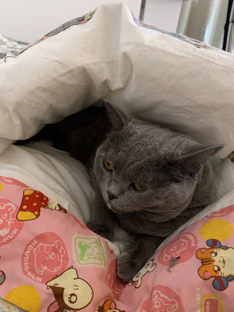 まぁさん