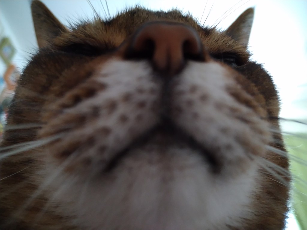 とも