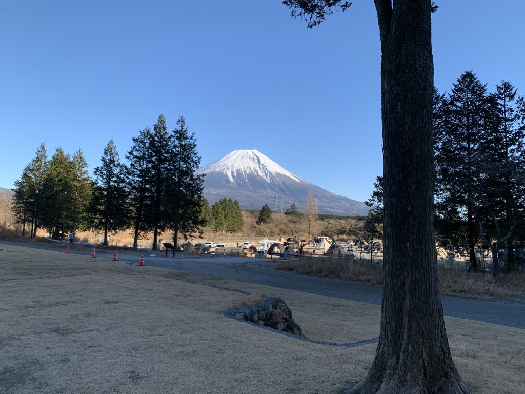 てんちょう