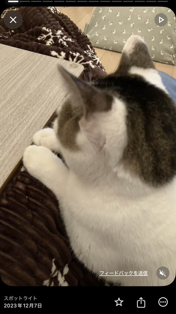 るひみり