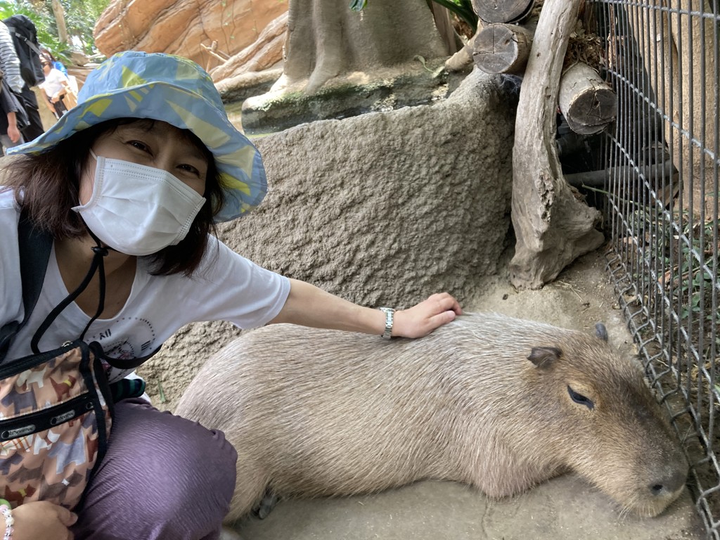 ちょみくん
