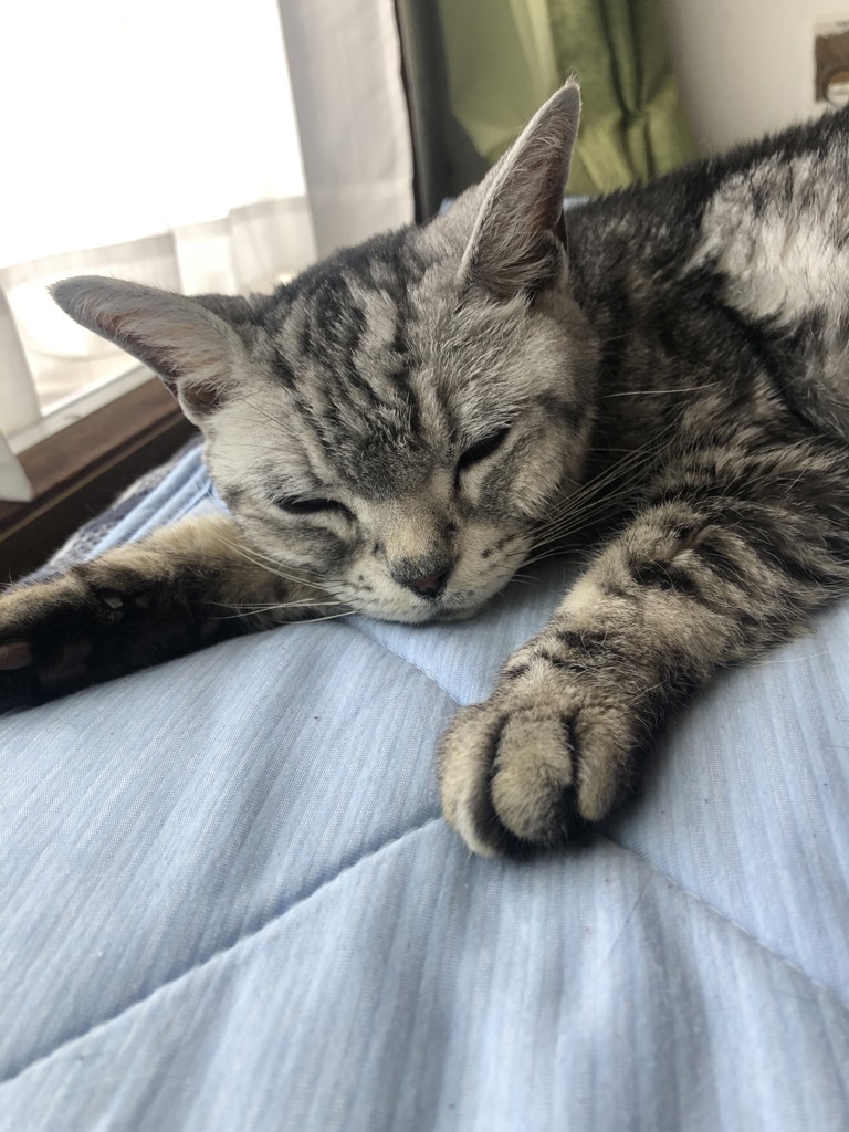 no name