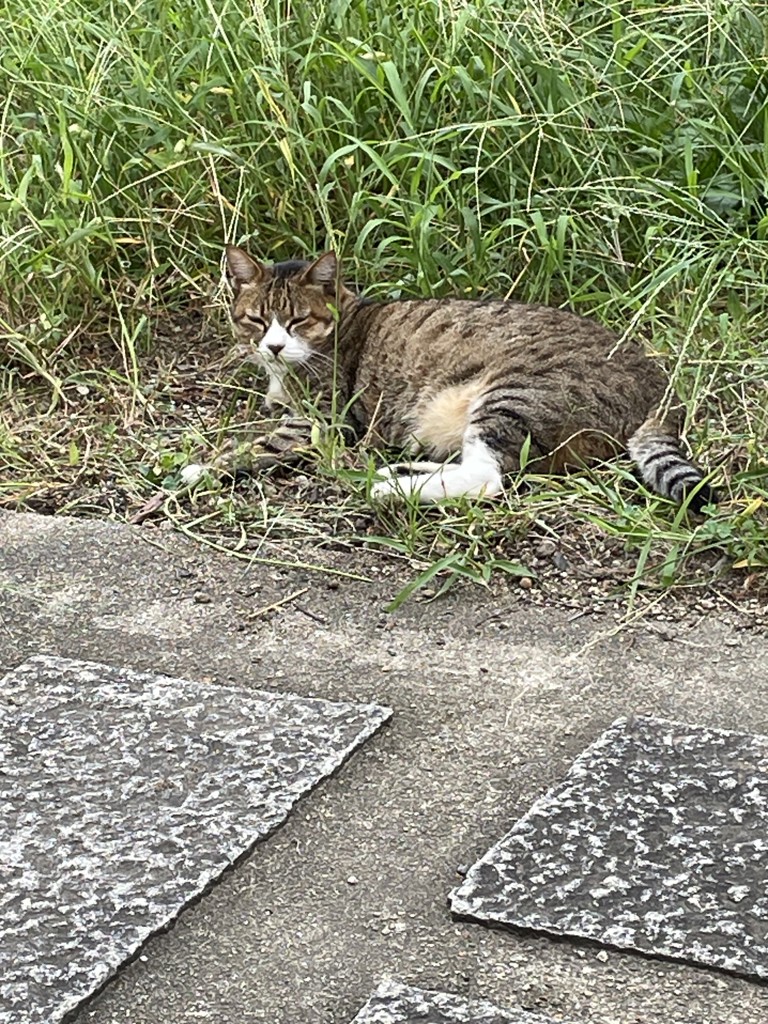 けいこ