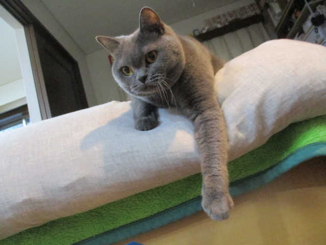 ユーザーアイコン