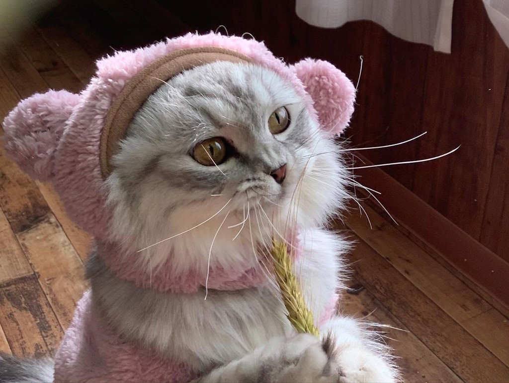 むーちゃんママ