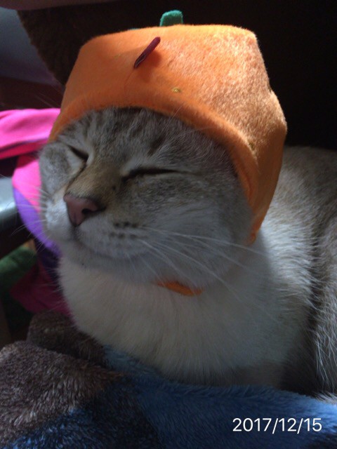 ほりまる