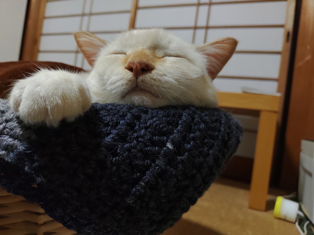 no name