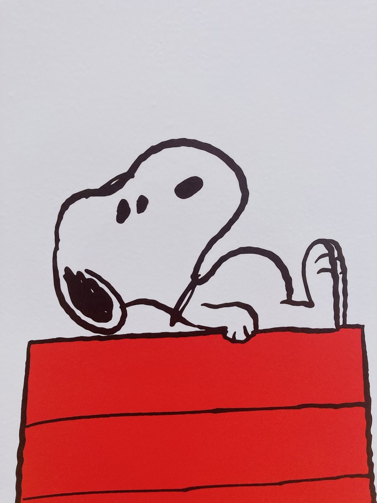 のり塩が一番好きなのささ