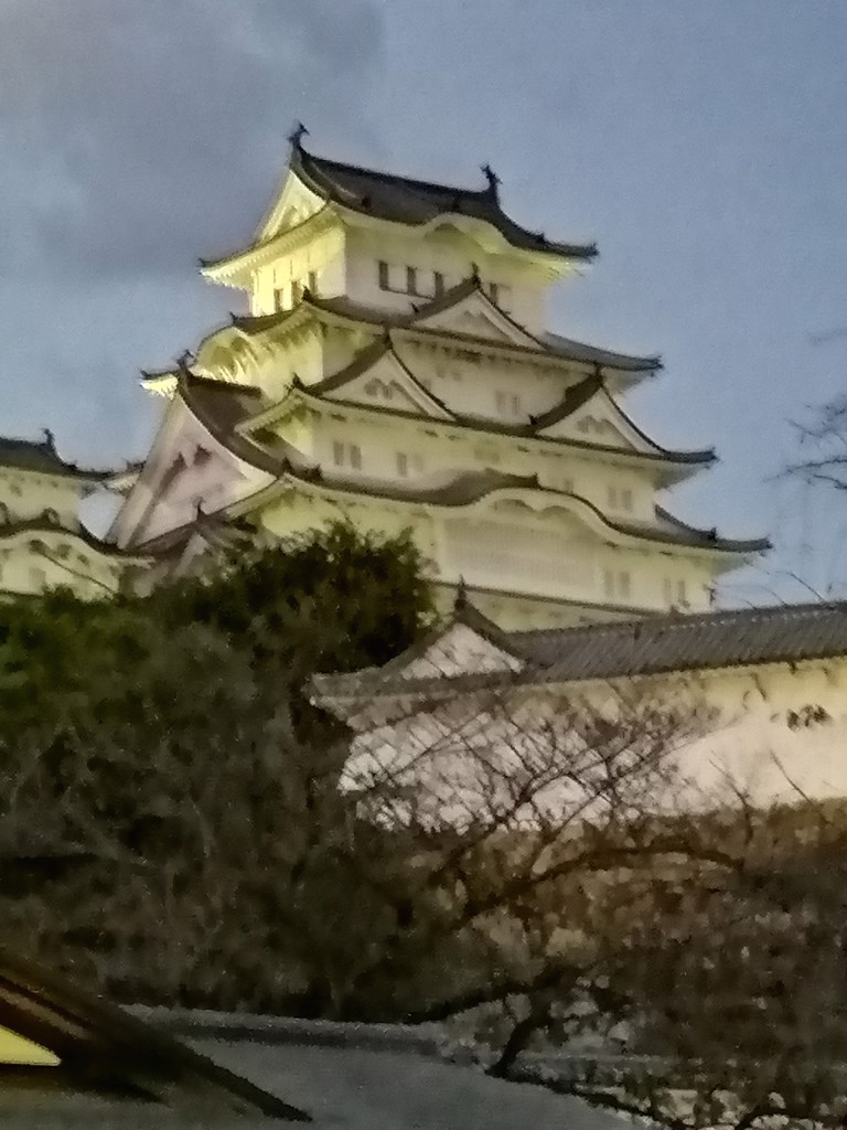 ゆんなん