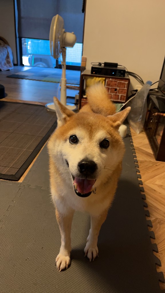 マサムネの母