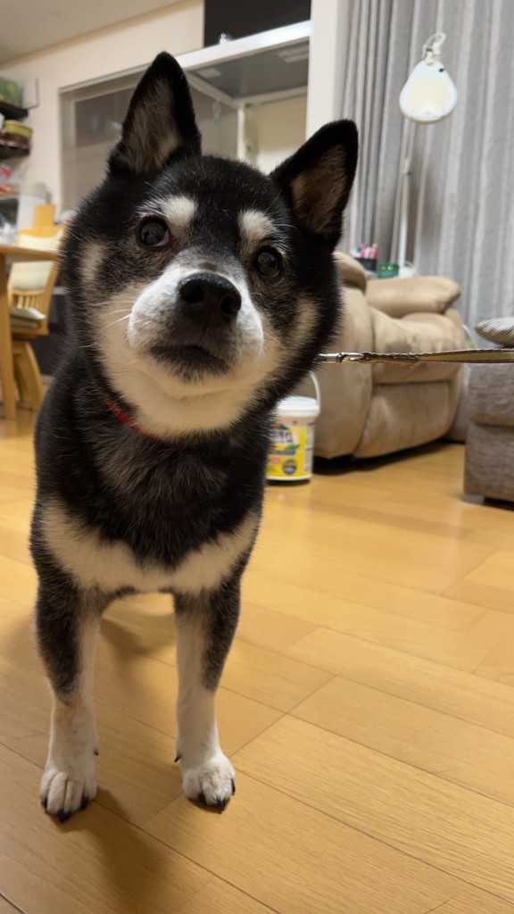 Sara