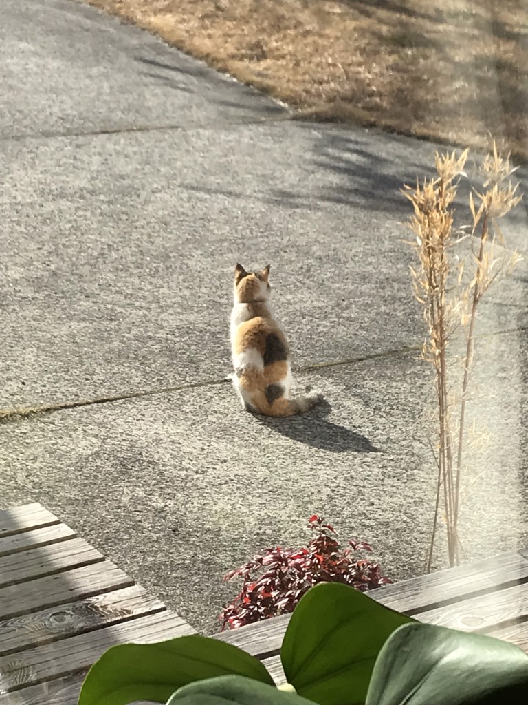 まなみkh