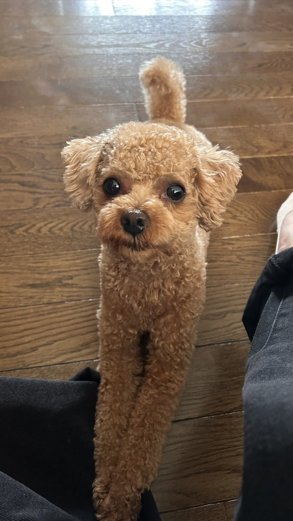 ユーザーアイコン