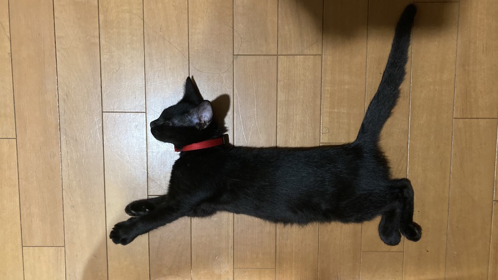 オリバー