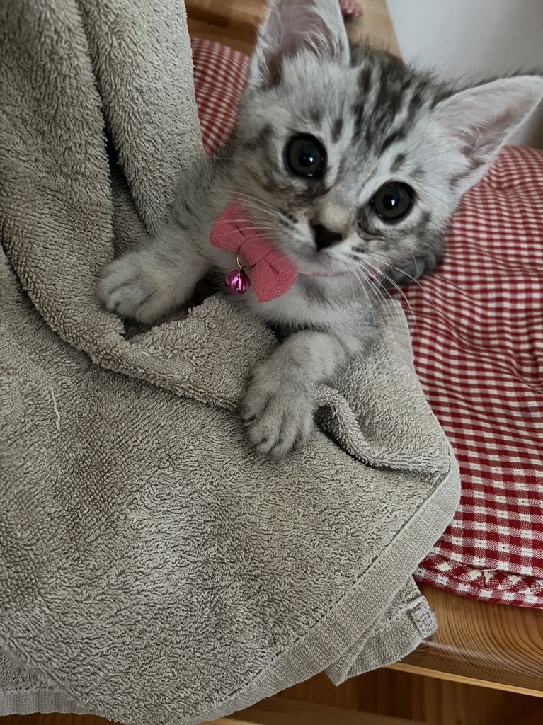 らぶなな