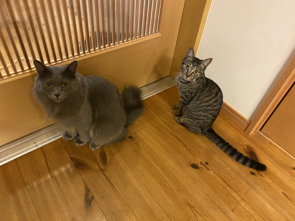 えまママ
