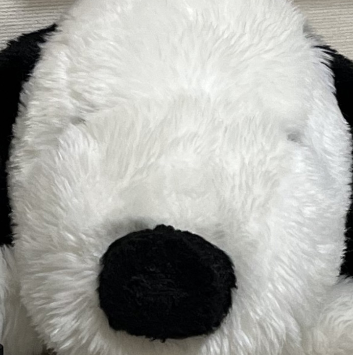 めろん