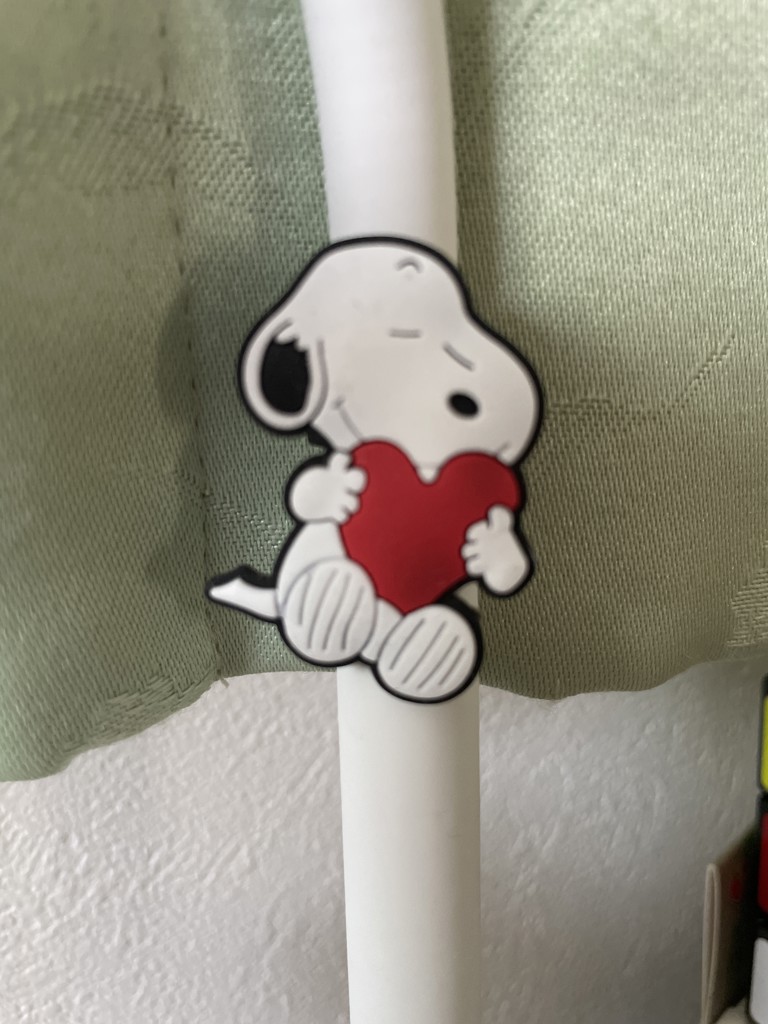 たなポン