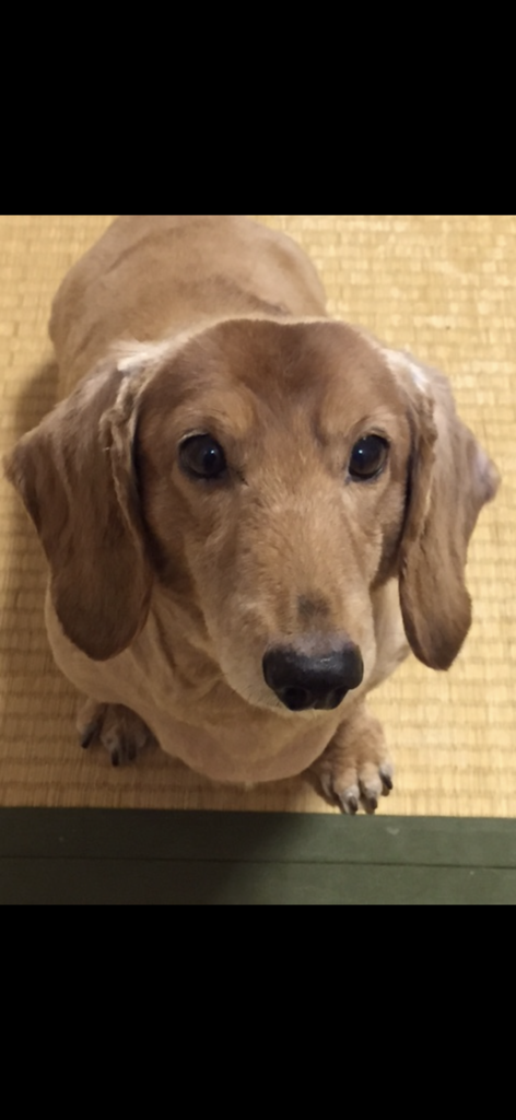 ザッキー