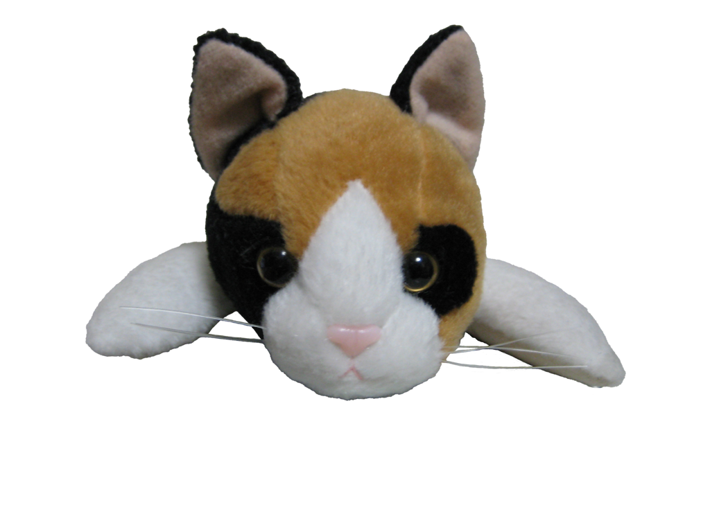 ひで