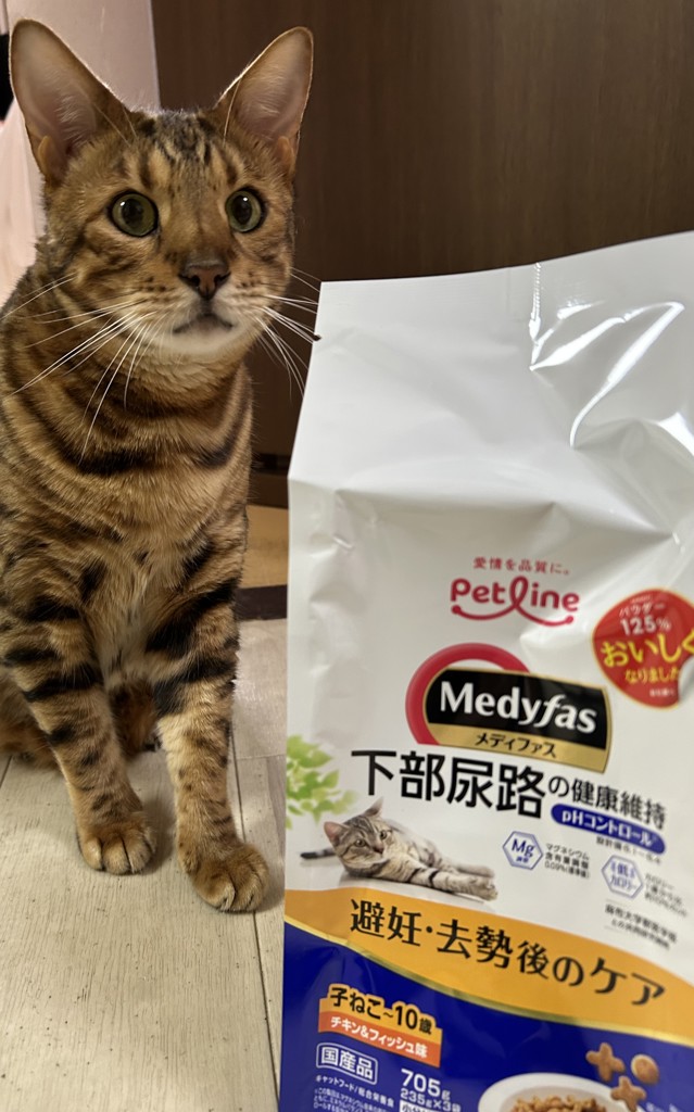 はぴねこ