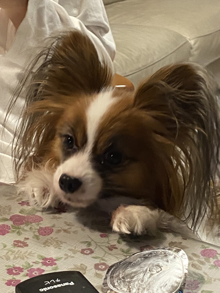 モルクン