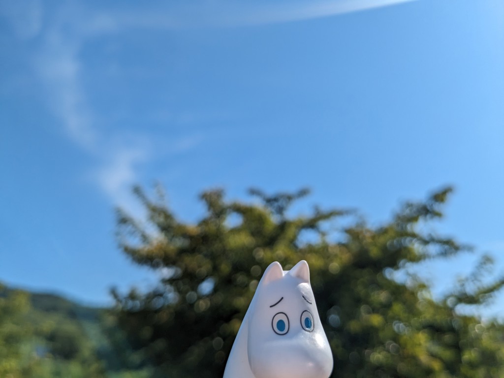 カール