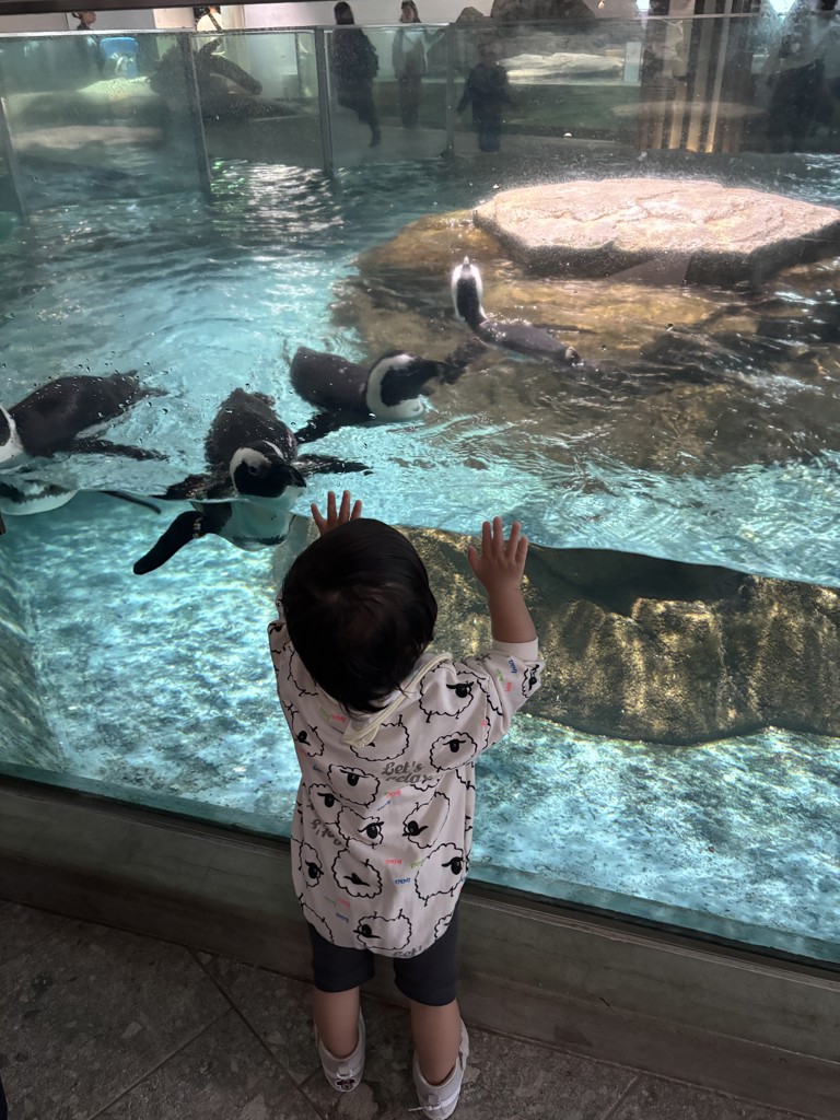 りーちゃんママ