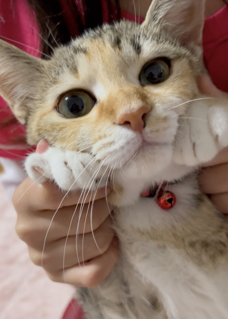 うみとあめ